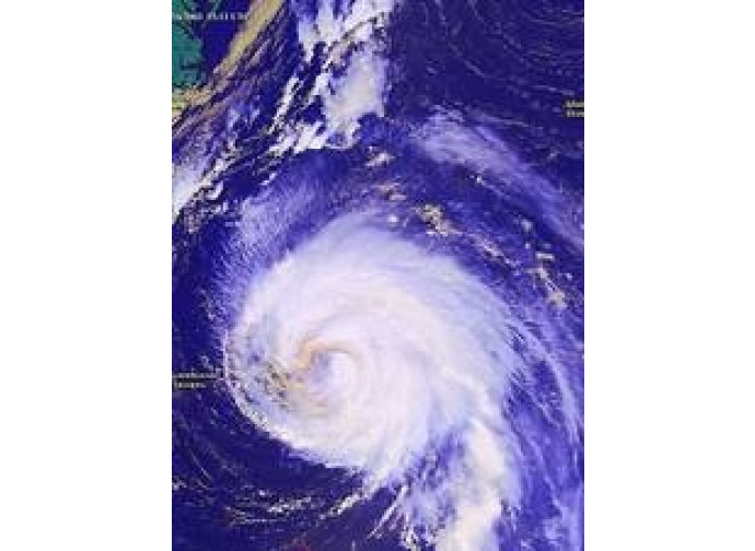 clima clima